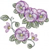 Imagem 3