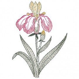 Matriz de bordado Flor Pontilhada 003