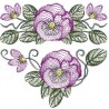 Imagem 4
