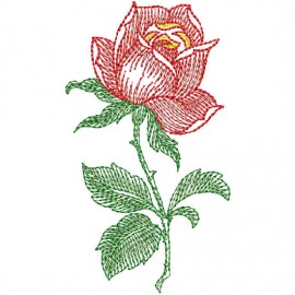 Matriz de bordado Flor Pontilhada 008